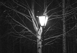 �������� ��������� � ���� ��� �������