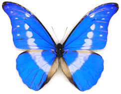 ����� ������������ ������� �� ����� ���?