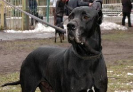 ������ ����� ������� ������ ��� ����