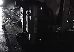 ��� �� ��. ������������