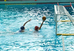 � �������� 