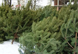 ������ ������ ������� �������