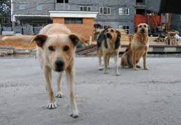 ������� ��������� � ��������� ������������� ����������� ��������� �������� ��������� �������� 