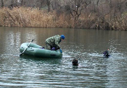 ���������������� � ����������������� �������� ������� ������������ �����