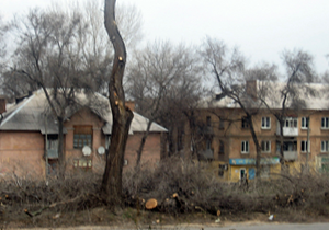 ����������������� ������������� �������� �������� ������� ��������