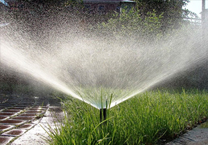 ����� ����� ������ �� �����������, � ������ - ��������