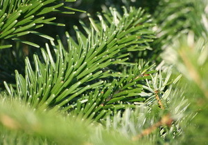 ��� � ����� � ���������������� ������ ��������� ����