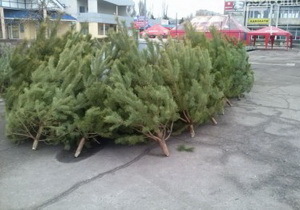  ������� � ������������� ��������� ����������� �������� ������