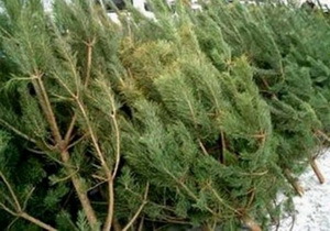 ����������������� ����������� ��������� ����� �������� ������