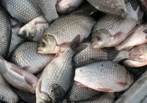 � ����� ����� ������������������ ������������� ��������� �������