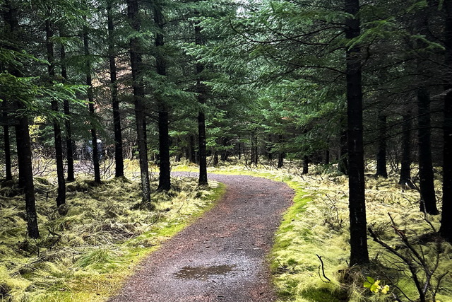 В лесах Днепропетровщины начали специальные рейды