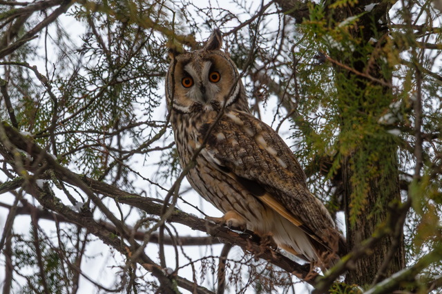 �� ���������������� �������� ������� ������� ������� ���