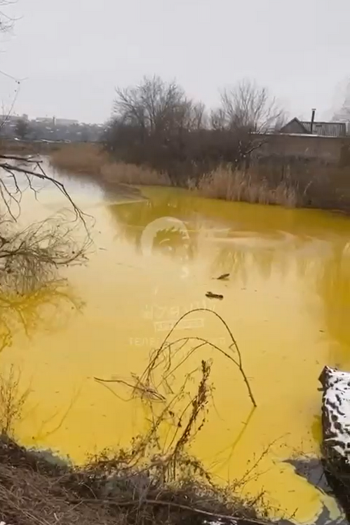 � ������ ���� ���� ����� �������-������� �����