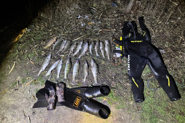 Риба та амуніція для підводної риболовлі. Дніпропетровський рибоохоронний патруль/Facebook В Днепропетровской области обнаружили и прекратили незаконную подводную рыбалку