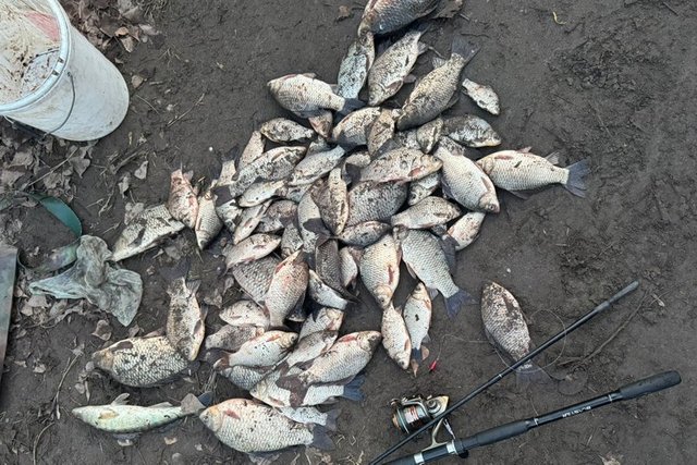 ����� �� ������� ������. �� ������ ���������������� ��������� ������������� �� ��������� ������ �����������