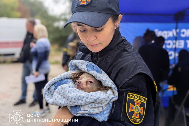 #����_���_����: �������� ������� - ����������� ���� � ������ ����