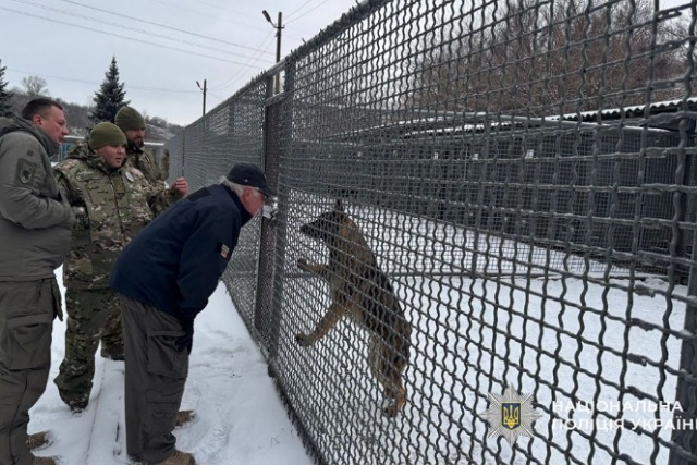 ������������ ������� ������� �������������� ����� ������� ����������������, �������� ������� ����� � ������������ 