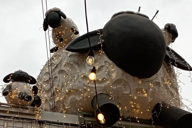 По крышам Днепра разгуливает стадо овец